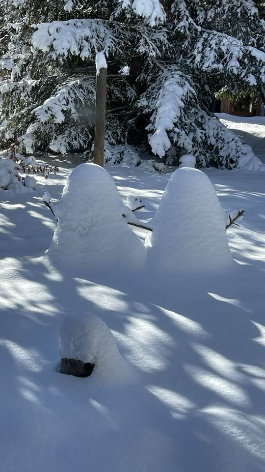 sneeuwpoppen2